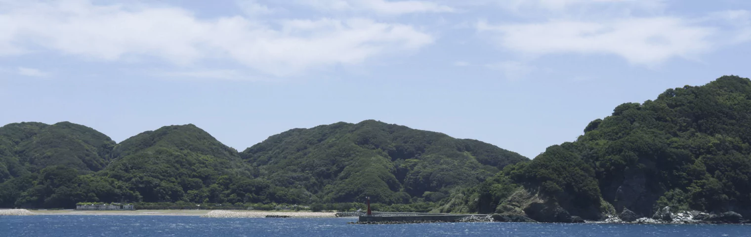 潮風が運んでくる<br>ミネラルと豊かな水はけ<br>太陽の恵みを受けて育ちました